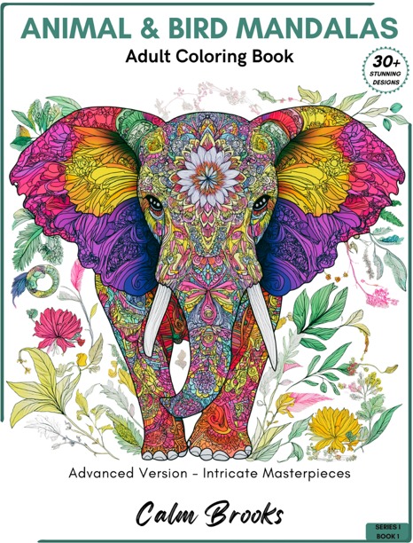 Front cover of Calm Brooks Intricate Masterpieces — Advanced Version