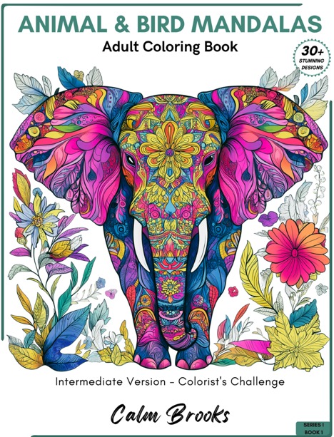 Front cover of Calm Brooks Colorist's Challenge — Intermediate Version